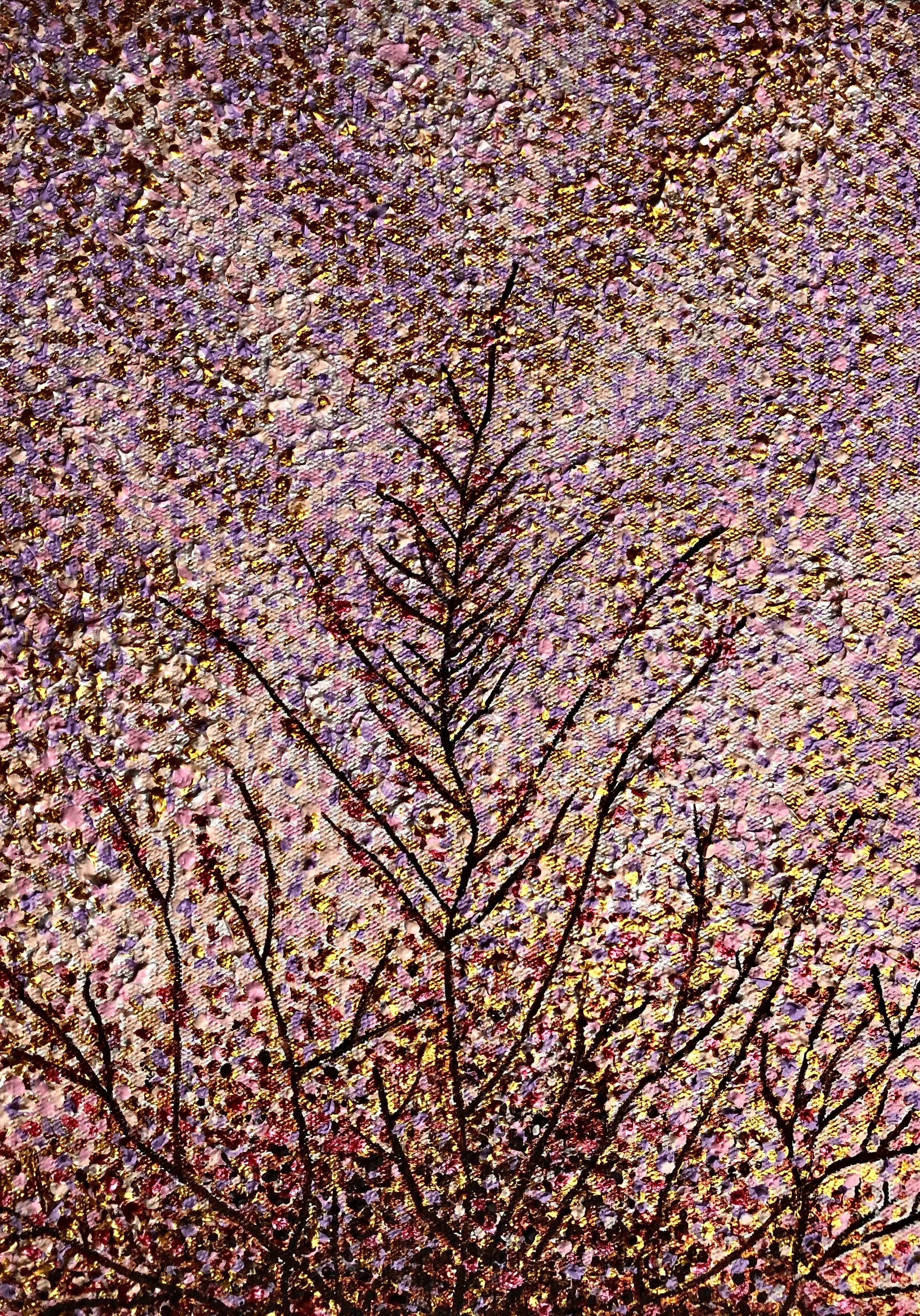 Pink Sunrise on Autumn Tree Tops